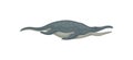 Flat vecrtor design of blue liopleurodon, side view. Marine monster with sharp teeth. Wild sea animal from Jurassic