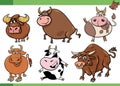 cartoon bulls farm animals comic characters set Royalty Free Stock Photo