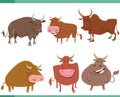 cartoon happy bulls farm animal characters set Royalty Free Stock Photo
