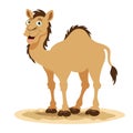 Cartoon Illustration Of A Camel Royalty Free Stock Photo