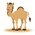 Cartoon Illustration Of A Camel Royalty Free Stock Photo