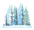 Cartoon illustration for children. Flat winter mixed coniferous forest, snow landscape on a sunny day
