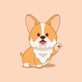 Cartoon illustration of corgi dog cute pose. Vector illustration of corgi dog