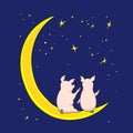Two piggies on the moon