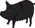 Cartoon illustration of cute black pig in white and clear background.cdr