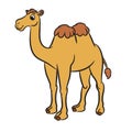 Cartoon illustration of cute camel Royalty Free Stock Photo