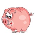 Cartoon illustration, cute curious pig character with big eyes, isolated object on white background, vector Royalty Free Stock Photo