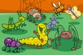 Cute insects and bugs cartoon characters group