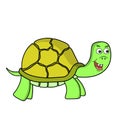 Cartoon illustration design of the character of a cute cartoon turtle with a hard shell Royalty Free Stock Photo