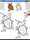 Drawing and coloring activity with potato beetle