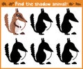 Cartoon illustration of education will find appropriate shadow silhouette animal anteater. Matching game for children of pr