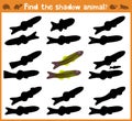 Cartoon illustration of education will find appropriate shadow silhouette animal fish. Matching game for children of presch Royalty Free Stock Photo