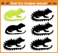 Cartoon illustration of education will find appropriate shadow silhouette animal iguana. Matching game for children of pres Royalty Free Stock Photo