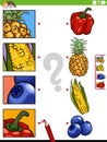 match cartoon fruit and vegetables and clippings educational activity