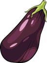 Eggplant vegetable cartoon illustration