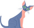 Cartoon illustration featuring a curious sphynx cat sitting and gazing with large green eyes, set against a clean white