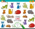 Find one picture of a kind game with cartoon cats Royalty Free Stock Photo