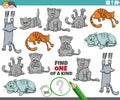 one of a kind educational activity with funny cartoon cats Royalty Free Stock Photo