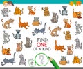 Find one of a kind with cats animal characters Royalty Free Stock Photo