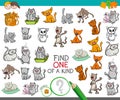 Find one of a kind game with cat characters Royalty Free Stock Photo