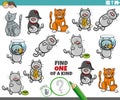 one of a kind game with funny comic cats and kittens Royalty Free Stock Photo