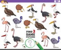 Find two same bird characters game for children Royalty Free Stock Photo