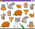 Find two same cat or kitten characters game for kids Royalty Free Stock Photo