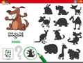 Educational shadows task with dogs