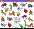 Find two identical cartoon insects game for kids