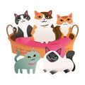 Cartoon Five Cats Around Pet Bed Royalty Free Stock Photo