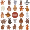 Cartoon bears wild animal characters big set Royalty Free Stock Photo