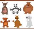 funny cartoon bears wild animal characters set