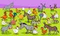 Chickens and donkeys farm animal characters group