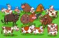 Cows and bulls farm animal characters group Royalty Free Stock Photo