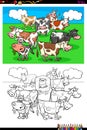 Cows farm animal characters group color book