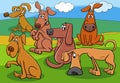 Cartoon dogs and puppies funny characters group outdoor