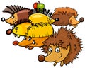 Funny hedgehogs cartoon animal characters