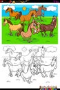 Horses farm animal characters group color book Royalty Free Stock Photo