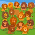 funny cartoon lions wild animal characters group