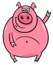 Pig or porker character cartoon illustration Royalty Free Stock Photo