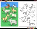 Cartoon goats farm animal characters coloring page Royalty Free Stock Photo