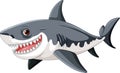 A cartoon illustration of a great white shark with big teeth, swimming and smiling isolated on a white background Royalty Free Stock Photo