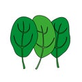 Cartoon illustration of green fresh spinach. Vegetarian food.