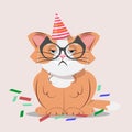 Grumpy cat with glasses celebrating its birthday. Annoyed cat with glasses.