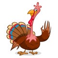 Cartoon illustration of a happy cute thanksgiving turkey character Royalty Free Stock Photo