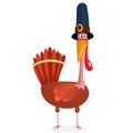 Cartoon illustration of a happy cute turkey wearing a pilgrim hat. Royalty Free Stock Photo