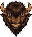 Cartoon illustration of head bison mascot
