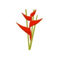 Flat vector icon of heliconia flower. Beautiful tropical plant. Botanical theme. Element for promo flyer, banner or
