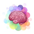 Cartoon illustration of human brain with highlights and shadows with colorful circles. Creativity and inspiration.