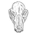 Cartoon Illustration Logo of an Animal Skull Like a Ram or Deer